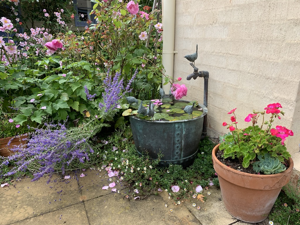 Courtyard at Kimbri Farm
